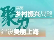 上海市人民政府办公厅印发《关于进一步促进新型农村集体经济高质量发展的若干措施》的通知