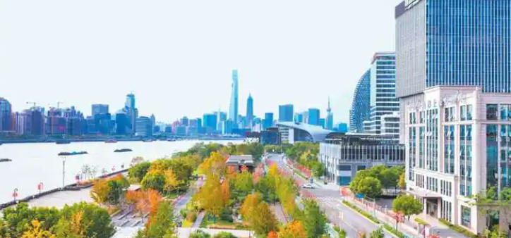 关于印发《美丽杨浦建设三年行动计划（2024-2026年）》的通知