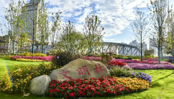 黄浦区人民政府办公室关于印发《美丽黄浦建设三年行动计划（2024—2026年）》的通知