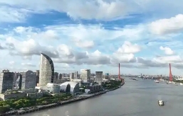 上海市科委等关于印发《杨“数”浦新质秀带创新区建设方案》的通知
