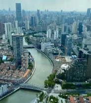 上海市人民政府办公厅印发《上海市促进服务业创新发展若干措施》的通知