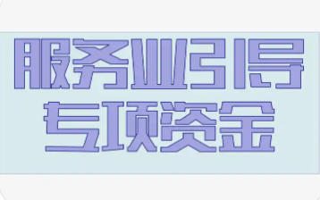 上海市市场监管局等关于印发《上海市服务业发展引导资金支持广告方向实施细则》的通知