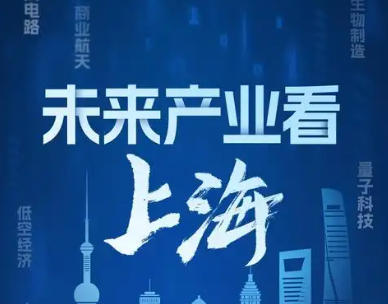 上海市人民政府办公厅印发《关于加快推动前沿技术创新与未来产业培育的若干措施》的通知