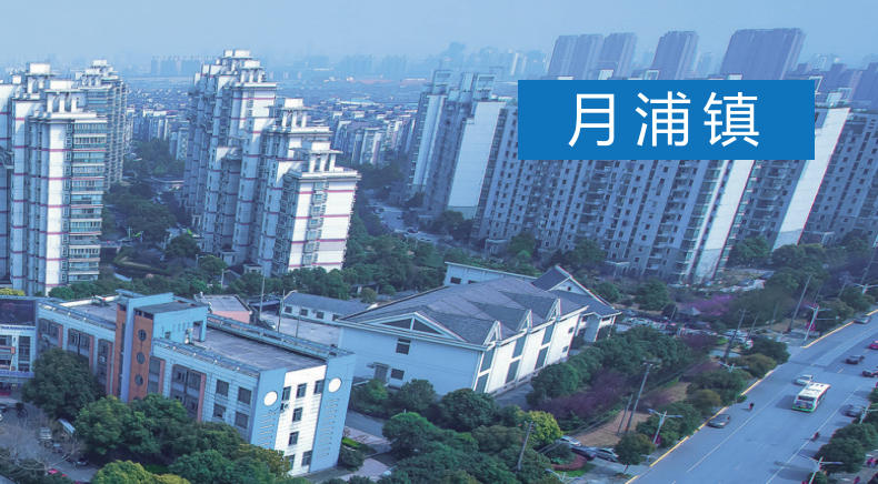 上海市宝山区月浦镇招商引资投资网|企业投资决策指南