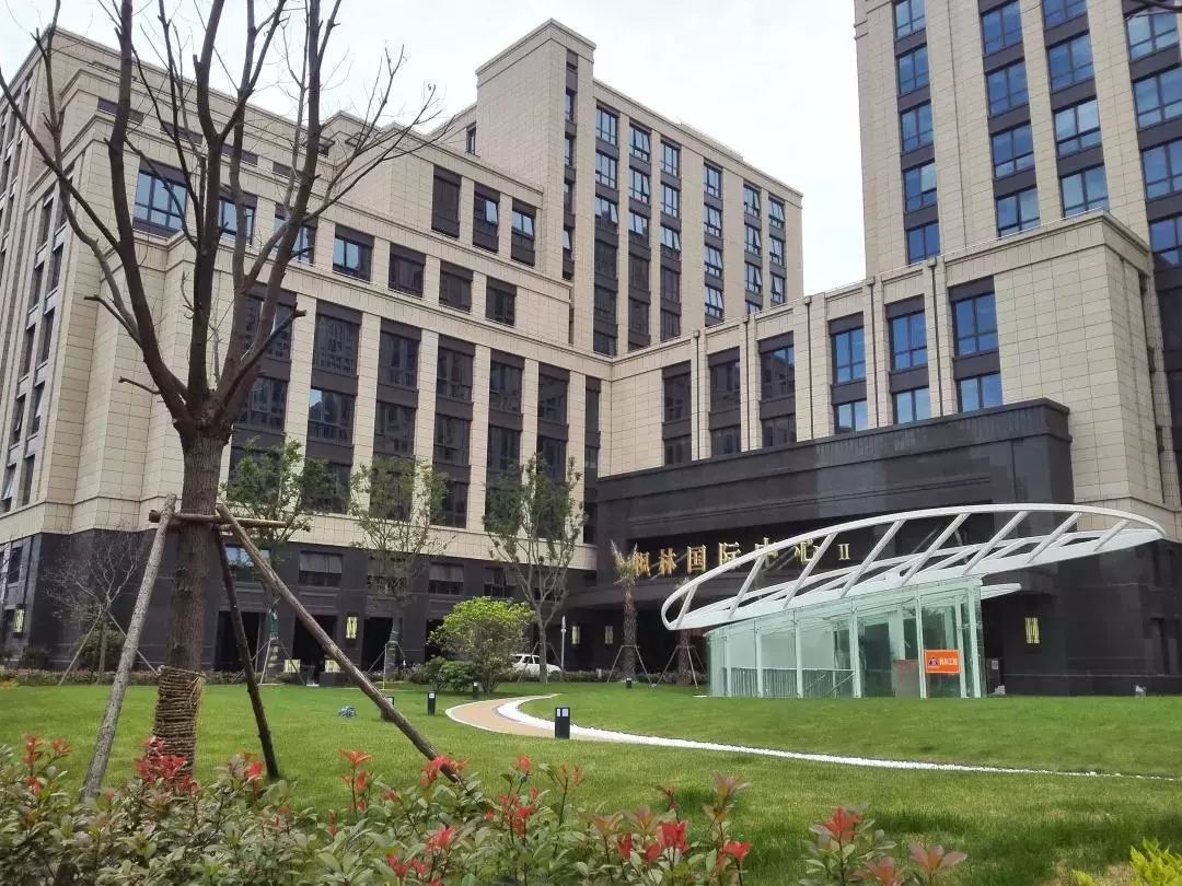 上海枫林生命健康产业园招商中心招商租赁综合评估报告：企业选址决策深度分析