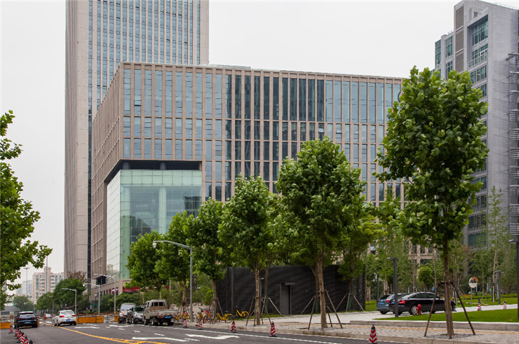 上海市浦东新区招商局上海中心招商中心招商租赁综合评估报告：企业选址决策深度分析